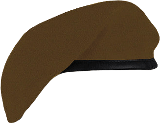 Inspection Ready Beret (No Flash)