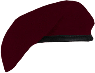 Inspection Ready Beret (No Flash)