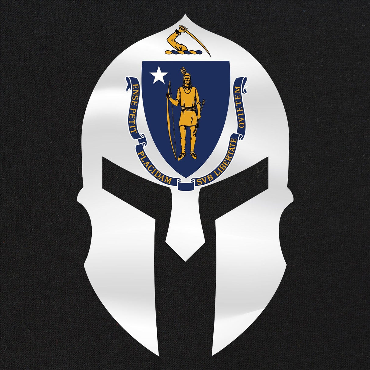 Massachusetts Spartan T-Shirt Shirts