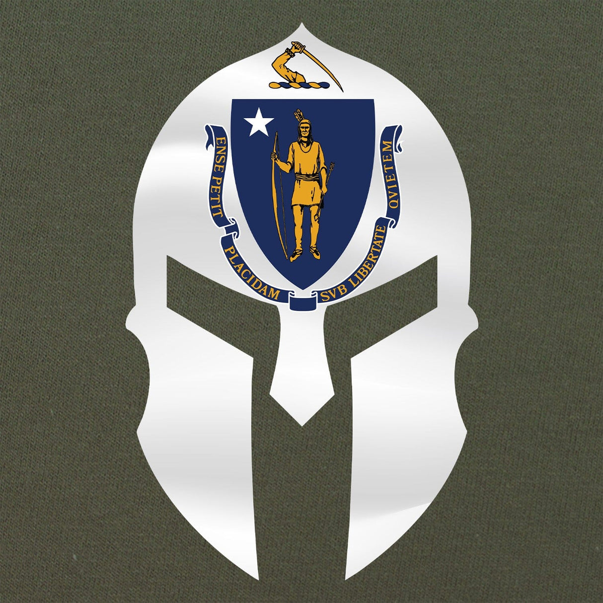 Massachusetts Spartan T-Shirt Shirts