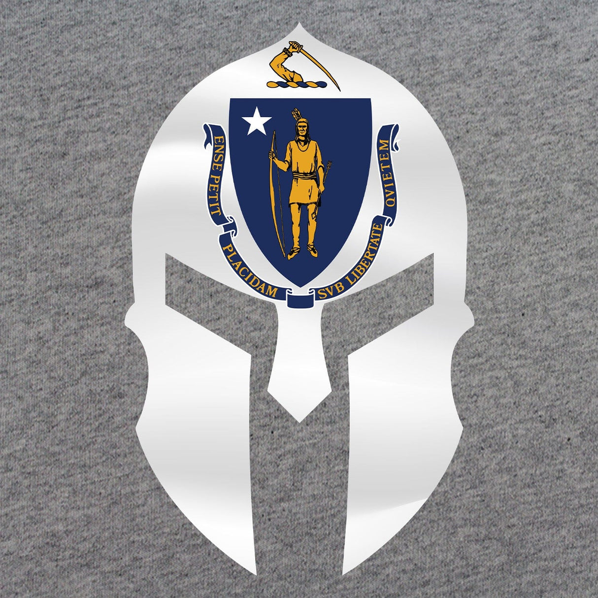 Massachusetts Spartan T-Shirt Shirts