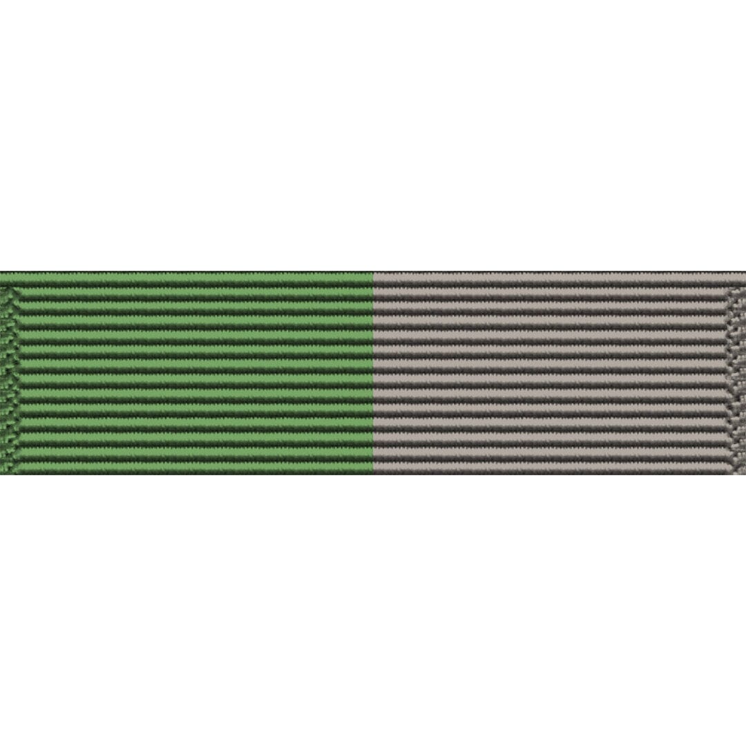 Young Marine's Scuba Ribbon Unit #3221 Ribbons