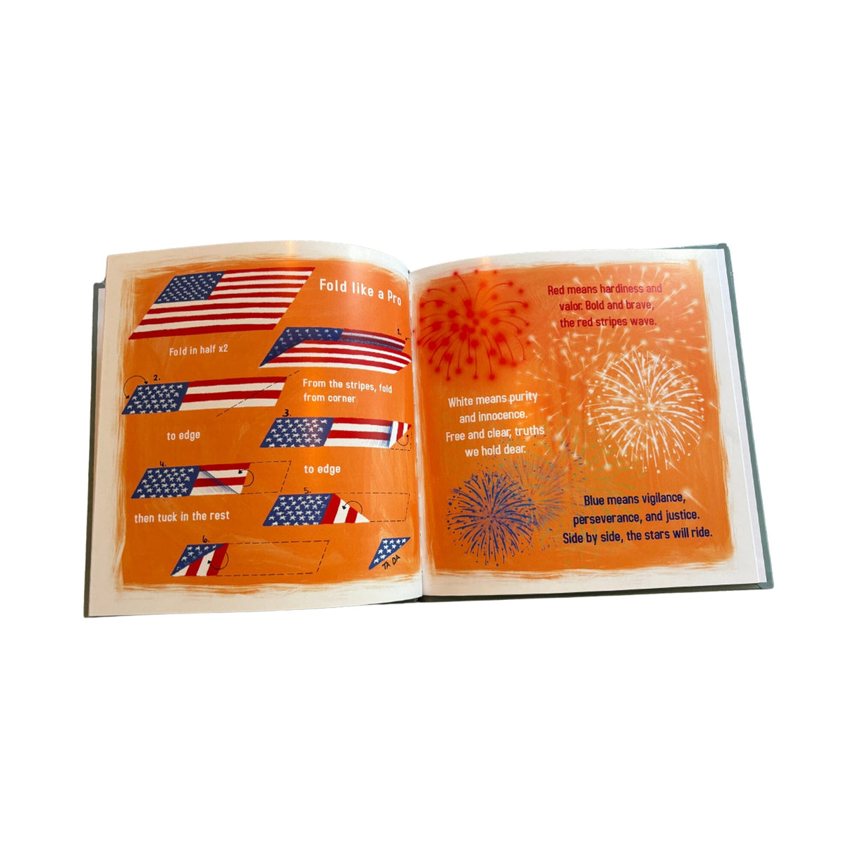 Our Pledge, Our Promise: The Pledge of Allegiance Explained Field Manuals and Stationery