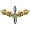 Army Aviation Branch Insignia - Officer and Enlisted