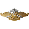 Navy Fleet Marine Force Insignias