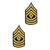 Army Dress Blue (Gold on Blue) Enlisted Rank - Female Size