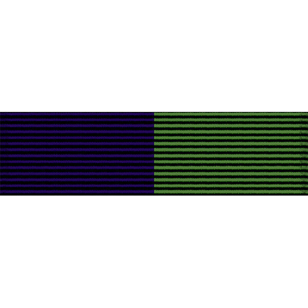 Arizona National Guard Community Service Ribbon Ribbons