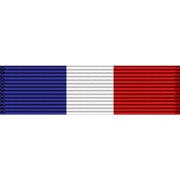 Montana National Guard Distinguished Patriotic Medal Ribbon Ribbons