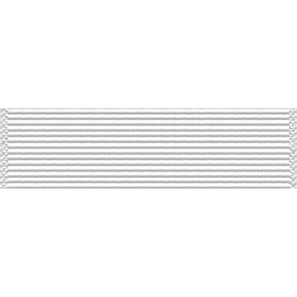 New York National Guard Exercise Support Ribbon Ribbons