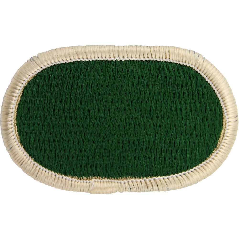 U.S. Army 104th Military Intelligence Battalion LRSD Oval Patch Patches and Service Stripes