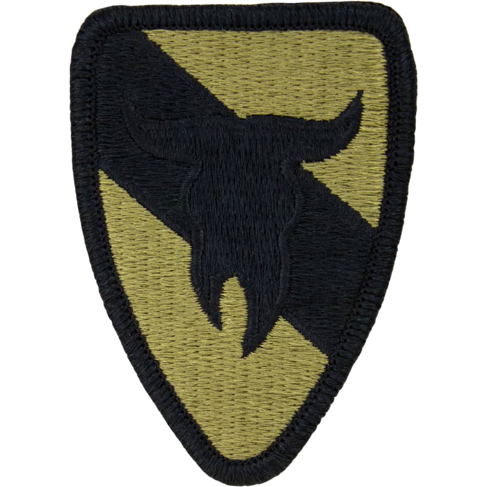 163rd Armored Cavalry OCP/Scorpion Patch Patches and Service Stripes