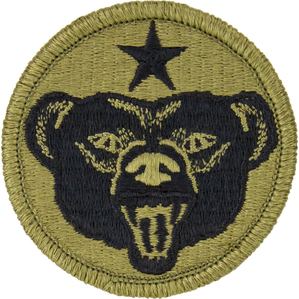 US Army Alaska OCP/Scorpion Patch Patches and Service Stripes