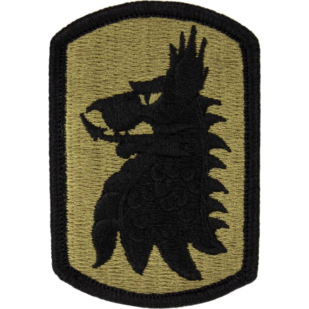 455th Chemical Brigade OCP/Scorpion Patch Patches and Service Stripes