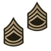 Army Green Service Uniform (AGSU) Enlisted Rank - Large & Small