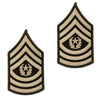 Army Green Service Uniform (AGSU) Enlisted Rank - Large & Small