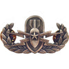 Explosive Ordnance Disposal (EOD) Badge