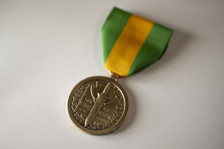 The Mexican Border Defense Medal.
