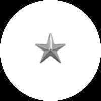 Coast Guard O-7 Rear Admiral Lower Half