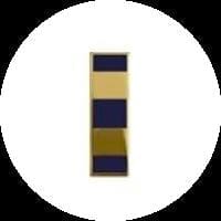 Uscg Cwo2 Bar Coast Guard Insignia: W-2 Chief Warrant Officer 2 – USAMM