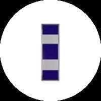 Coast Guard W-4 Chief Warrant Officer 4