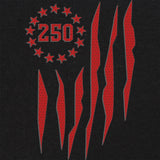 US 250 Flag T-Shirt Shirts 