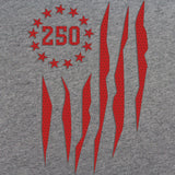 US 250 Flag T-Shirt Shirts 