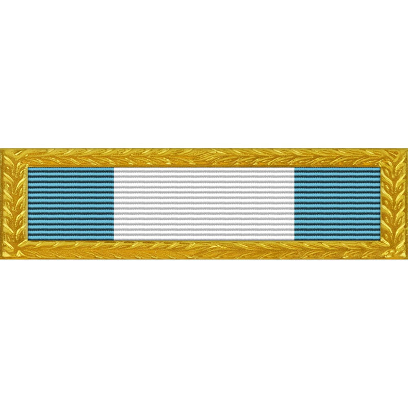 Washington Army National Guard Unit Citation Ribbon (with USAF frame ...