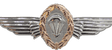 German Jump Wings - Bronze Badges 