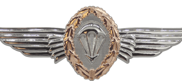 German Jump Wings - Bronze Badges 