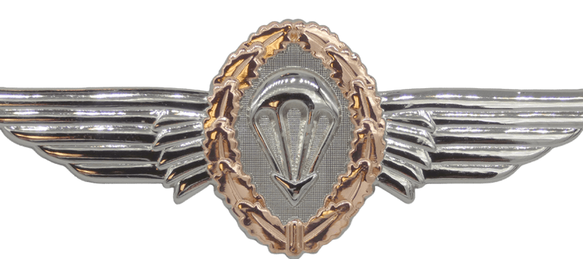 German Jump Wings - Bronze Badges 
