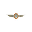 German Jump Wings - Bronze