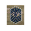Space Force OCP Rank - Enlisted (Sew On)