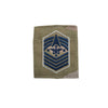 Space Force OCP Gortex Rank - Enlisted