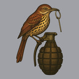 Bird Grenade Hoodie Hoodies 