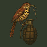 Bird Grenade Hoodie Hoodies 