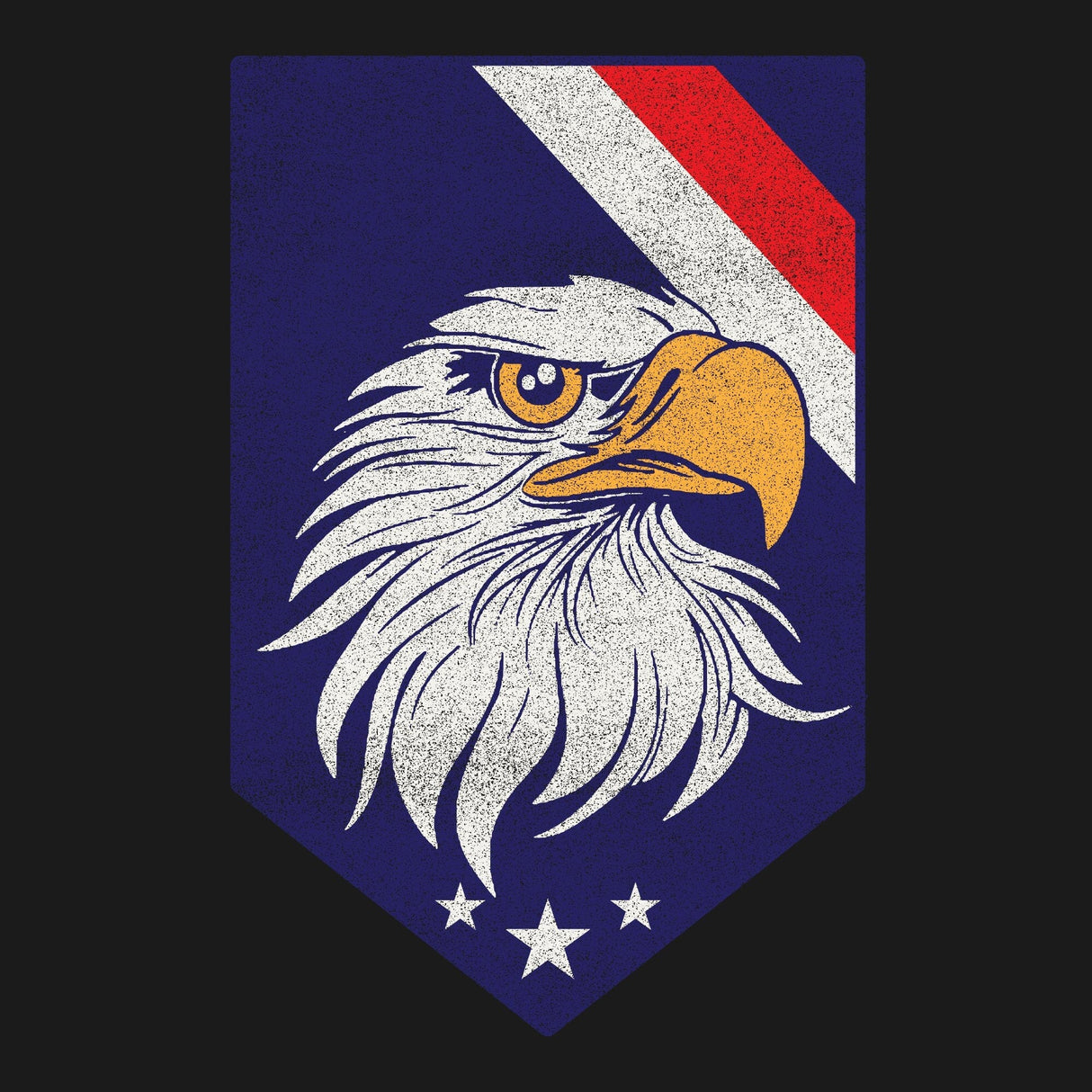 Eagle Shield Hoodie Hoodies 