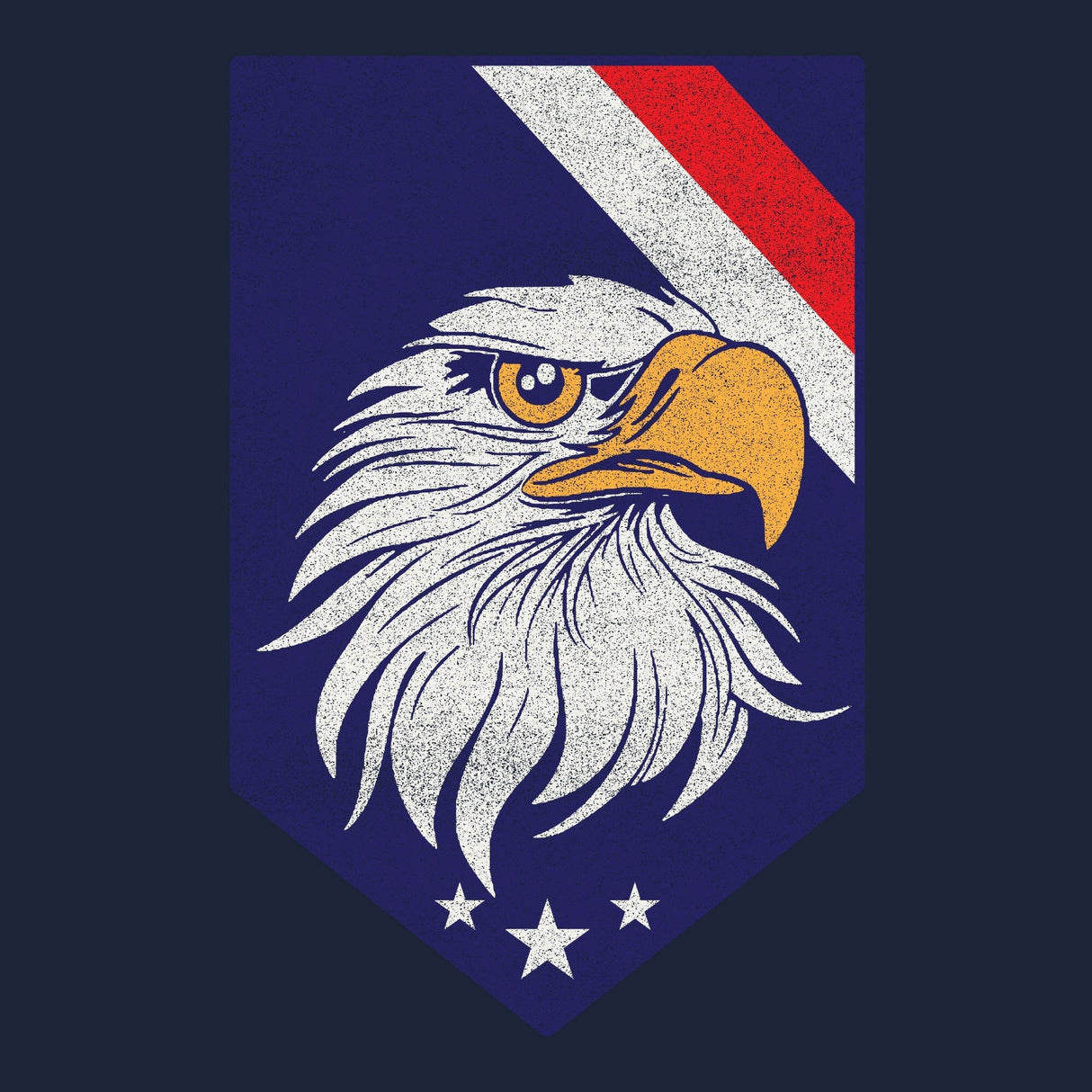 Eagle Shield Hoodie Hoodies 