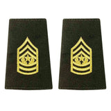 Female AGSU Epaulets - Enlisted and Officer Rank 87335