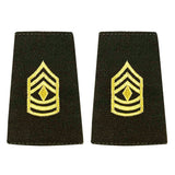 Female AGSU Epaulets - Enlisted and Officer Rank 87333