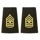 Female AGSU Epaulets - Enlisted and Officer Rank 87334