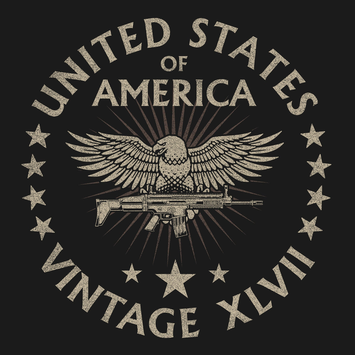United States of America Vintage XLVII Hoodie