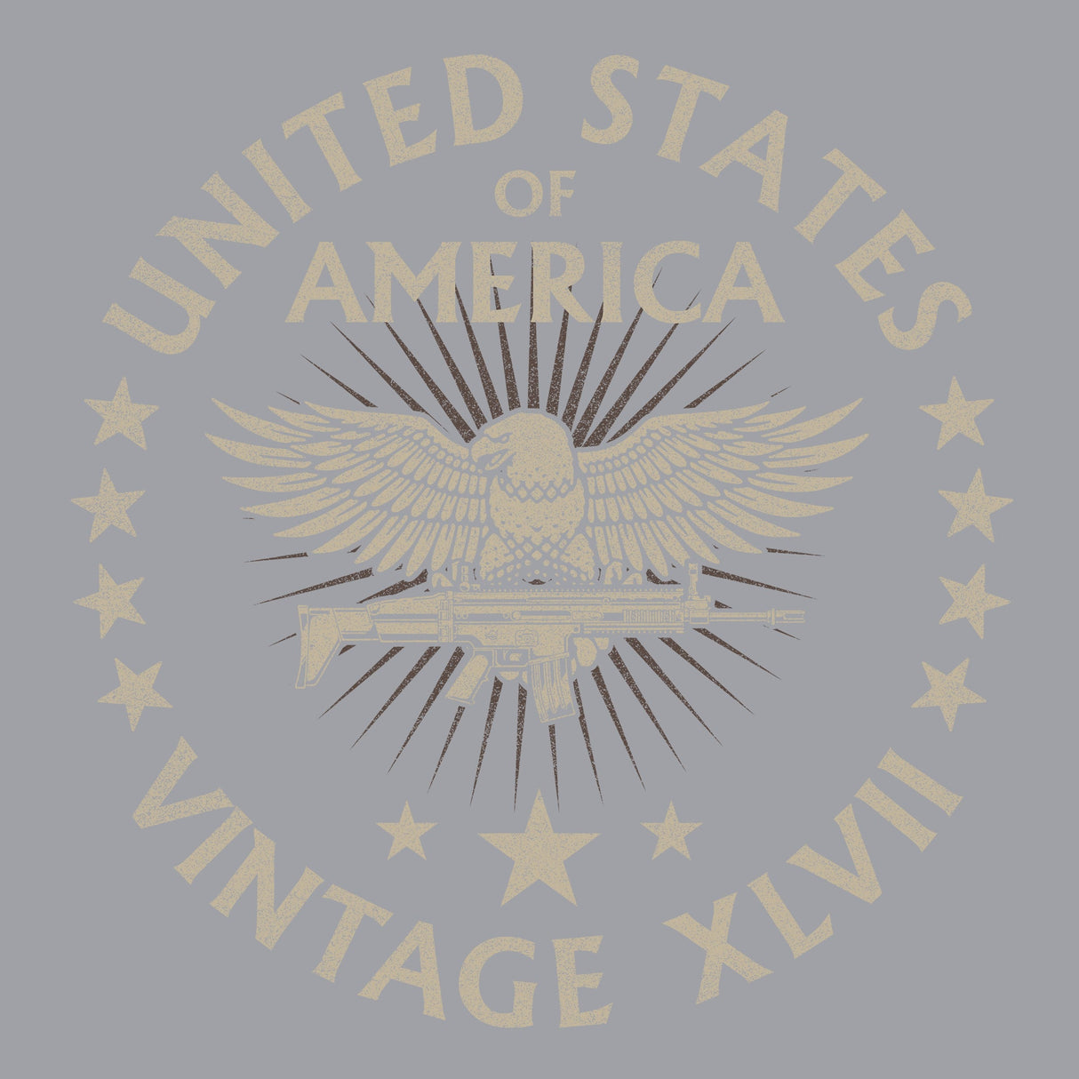 United States of America Vintage XLVII Hoodie