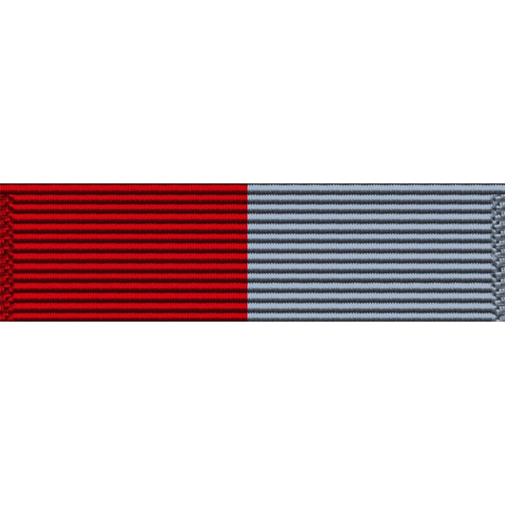 Young Marine's Drill Team Ribbon Unit #3213 | USAMM