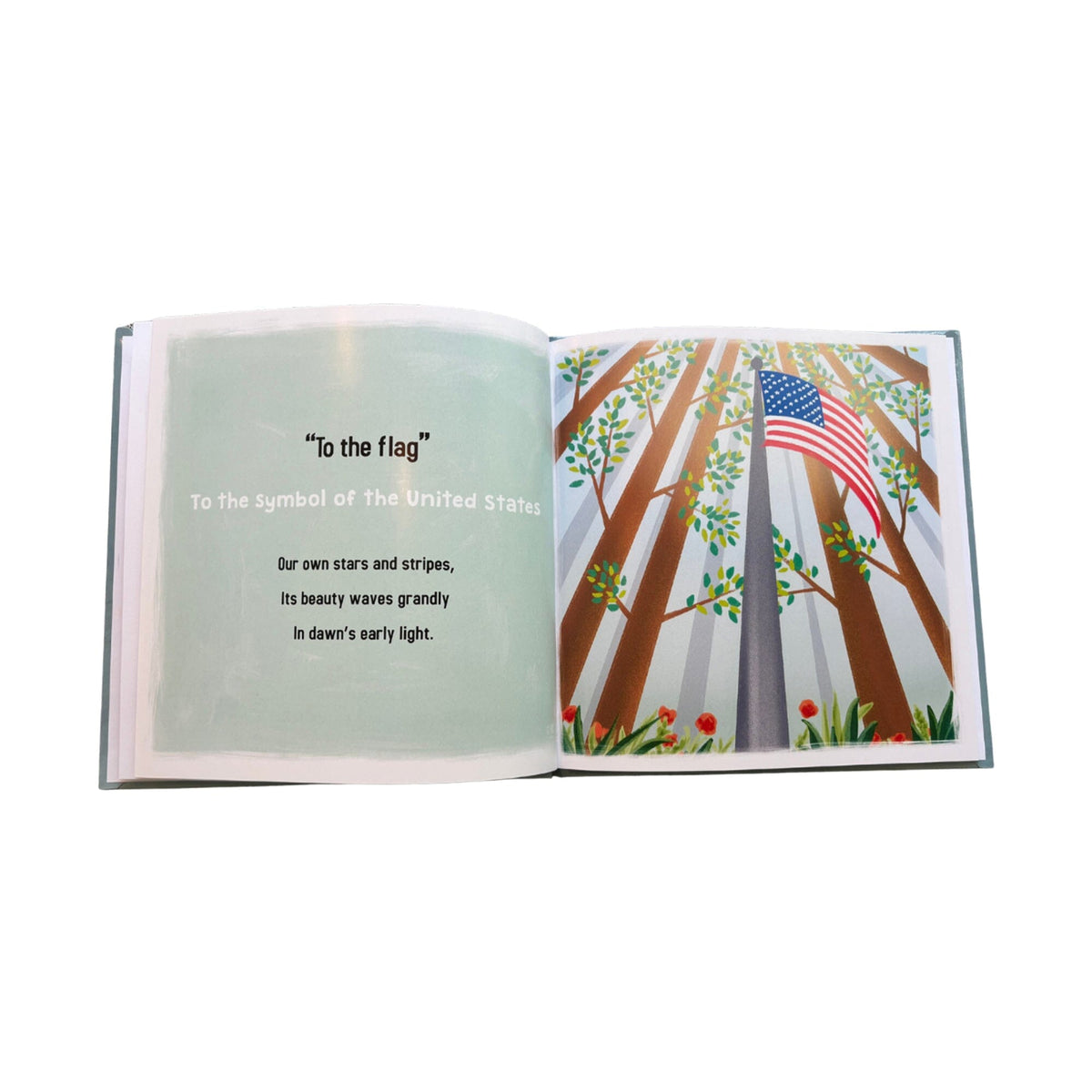 Our Pledge, Our Promise: The Pledge of Allegiance Explained Field Manuals and Stationery 