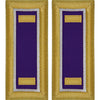 Army Male Shoulder Boards - Civil Affairs - Sold in Pairs