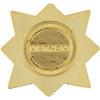 Republic of Vietnam Civil Action 2C Medal