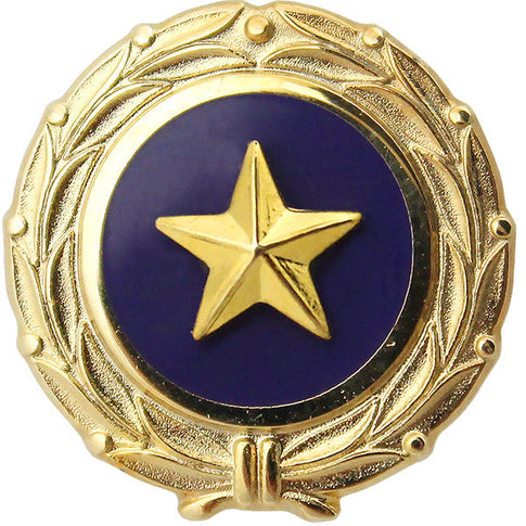 Gold Star Lapel Button