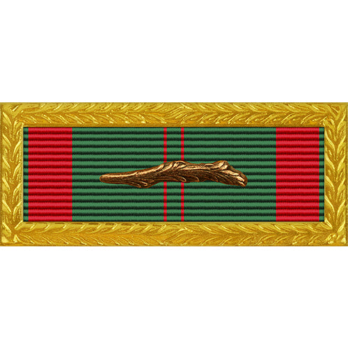 Republic of Vietnam (RVN) Civil Action 1C Medal Tiny Unit Citation Ribbon Ribbons 