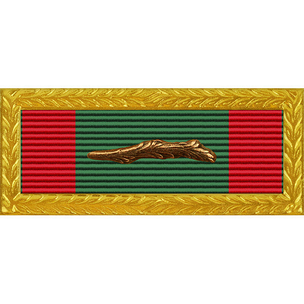 Republic of Vietnam Civil Action 2C Palm Unit Citation - Army Frame Ribbons 