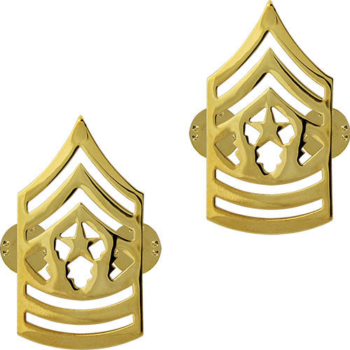 Army Gold-Brite Enlisted Rank Rank 6510 CSM-G